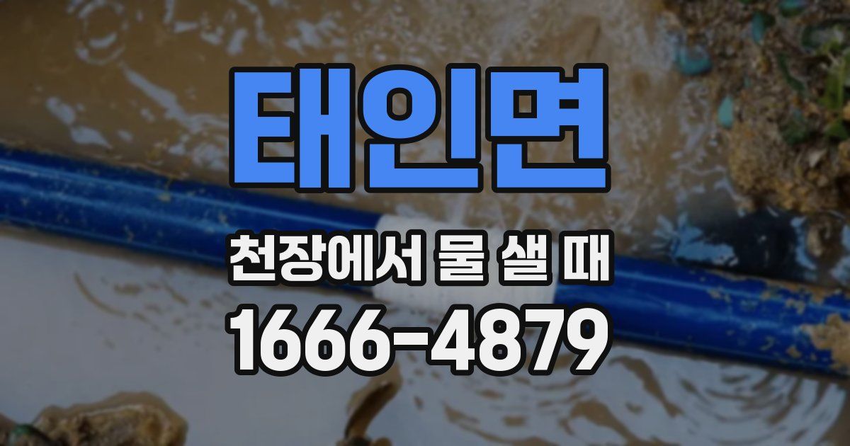 태인면 천장에서 물 샐 때