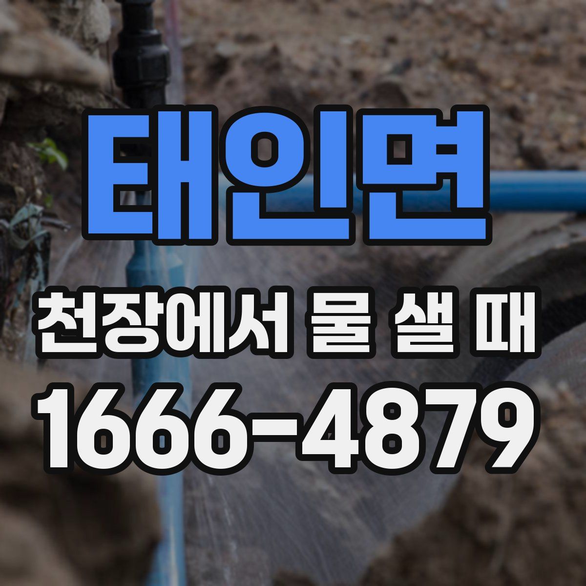 태인면 천장에서 물 샐 때
