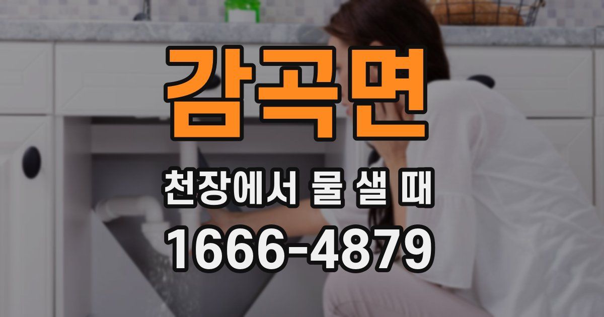 감곡면 천장에서 물 샐 때