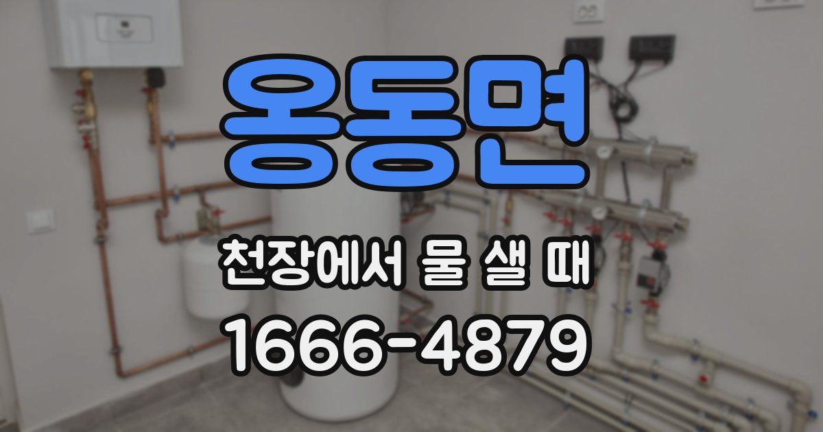 옹동면 천장에서 물 샐 때