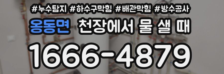 옹동면 천장에서 물 샐 때