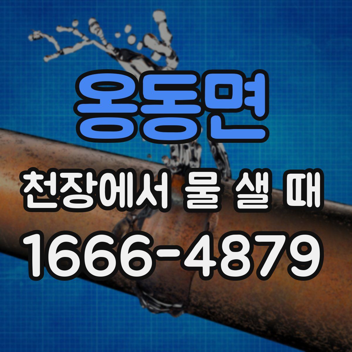 옹동면 천장에서 물 샐 때