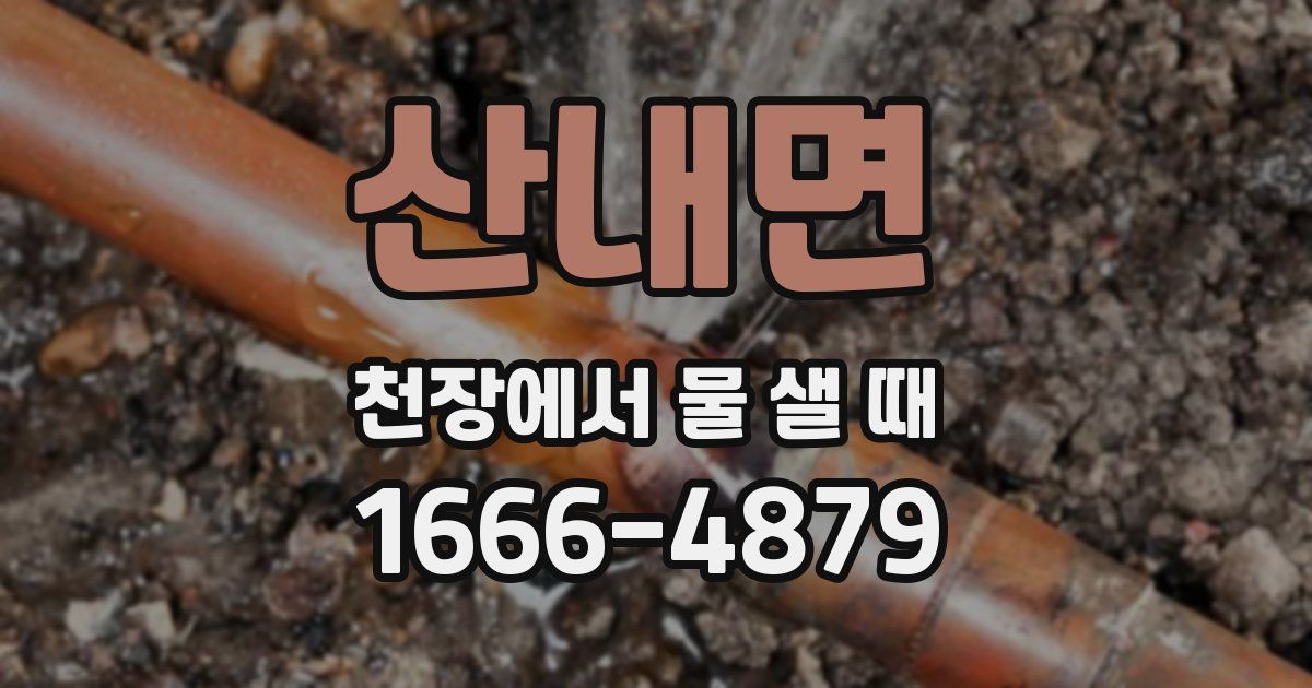 산내면 천장에서 물 샐 때