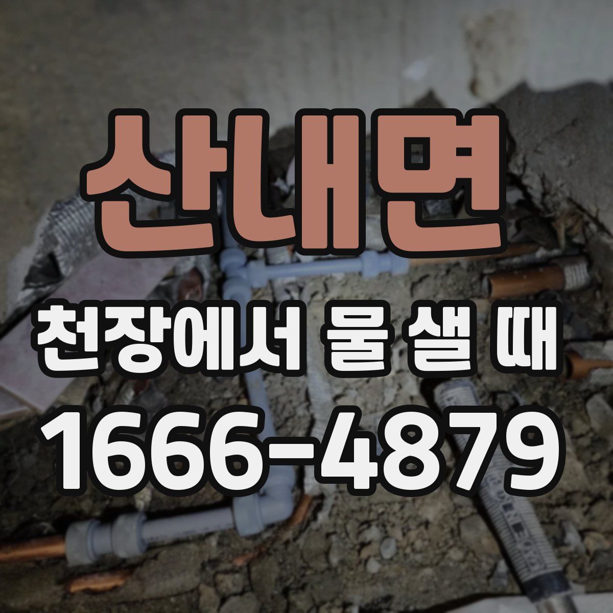산내면 천장에서 물 샐 때
