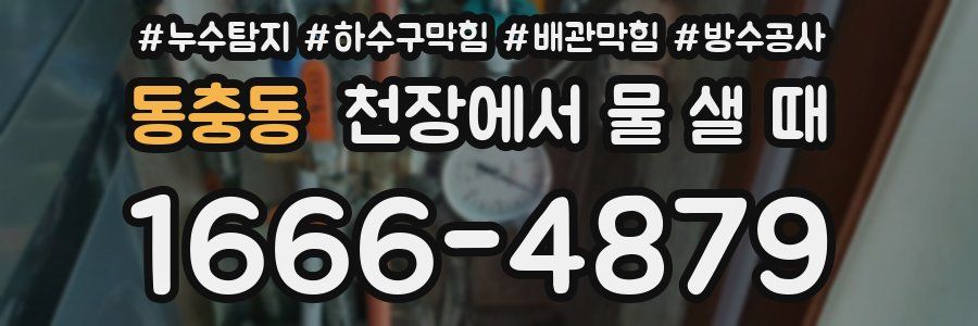 동충동 천장에서 물 샐 때