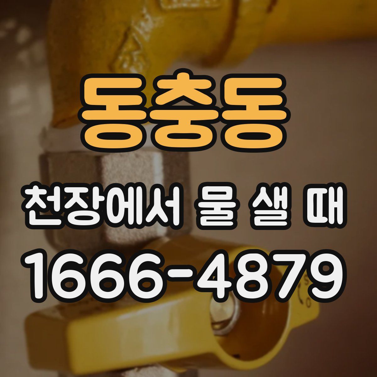 동충동 천장에서 물 샐 때