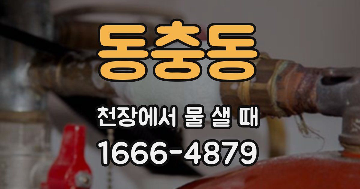 동충동 천장에서 물 샐 때