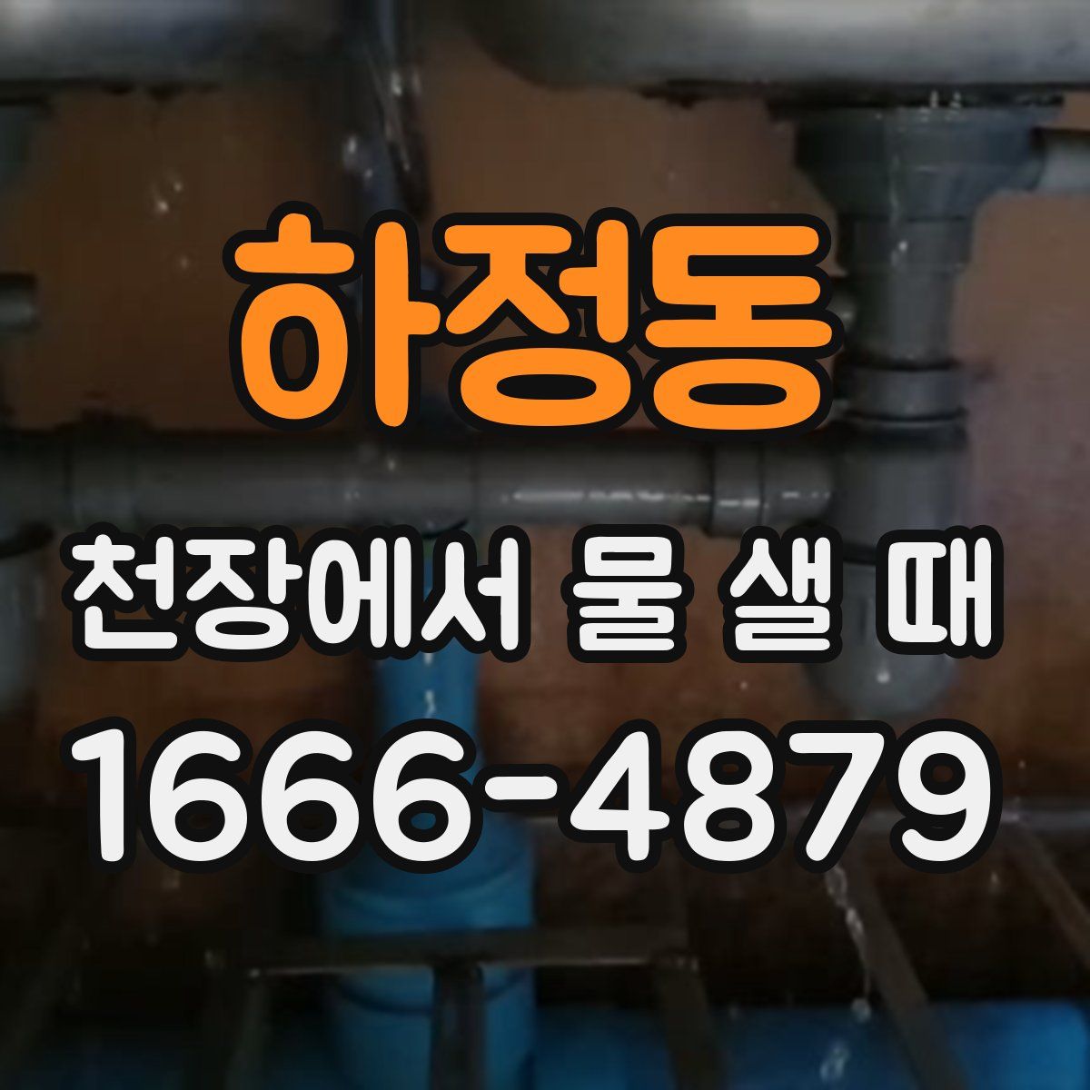 하정동 천장에서 물 샐 때