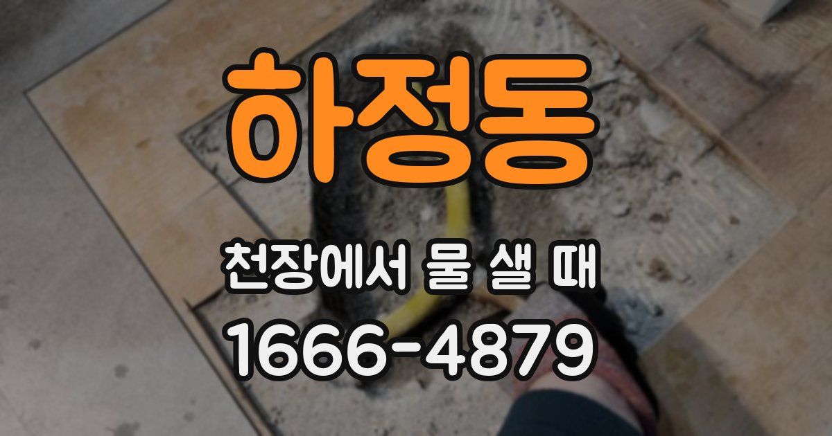 하정동 천장에서 물 샐 때
