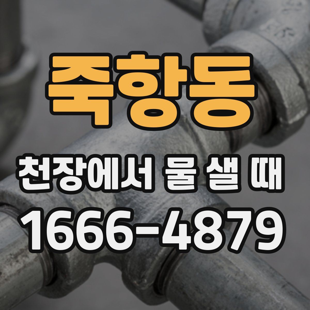 죽항동 천장에서 물 샐 때