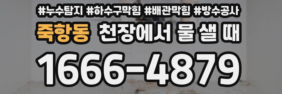죽항동 천장에서 물 샐 때