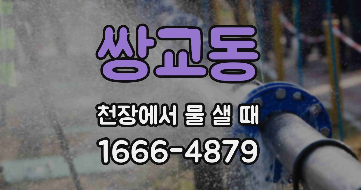 쌍교동 천장에서 물 샐 때
