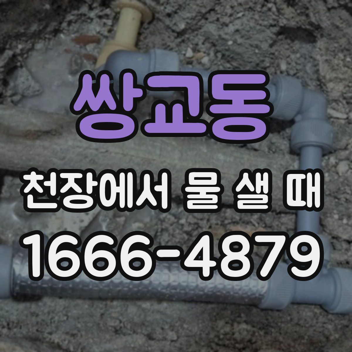 쌍교동 천장에서 물 샐 때