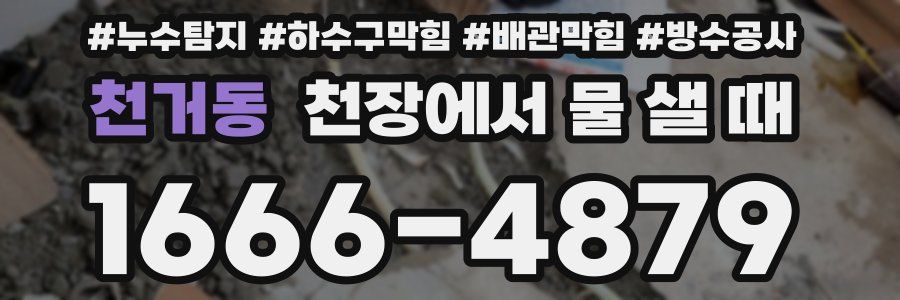 천거동 천장에서 물 샐 때