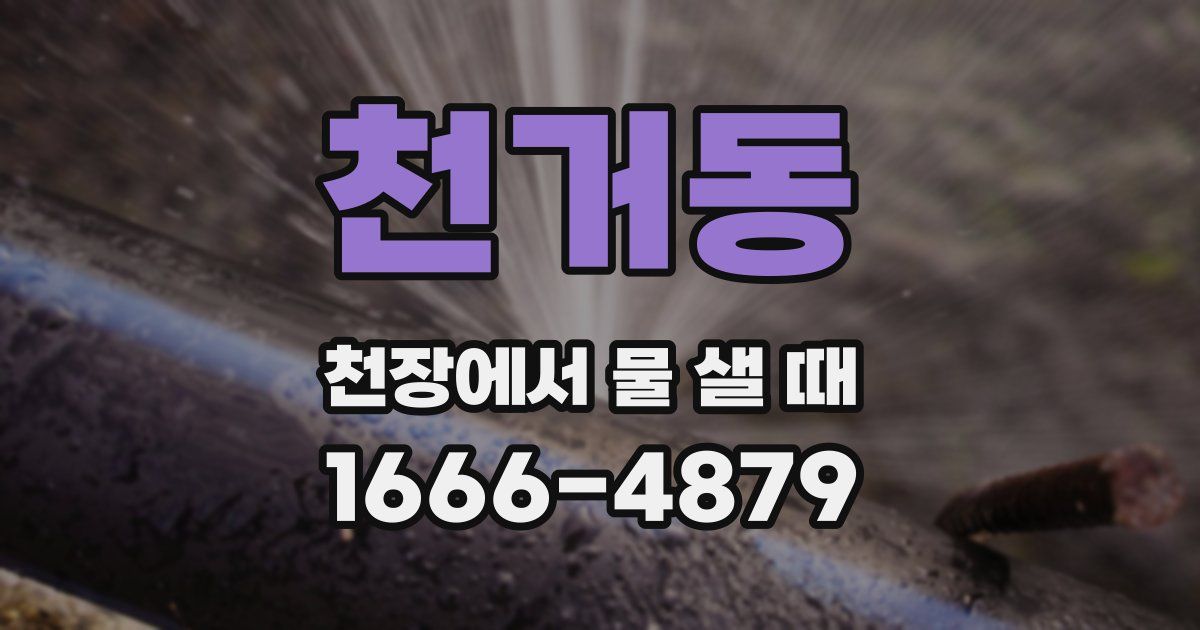 천거동 천장에서 물 샐 때