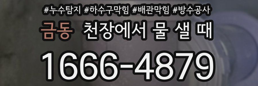 금동 천장에서 물 샐 때