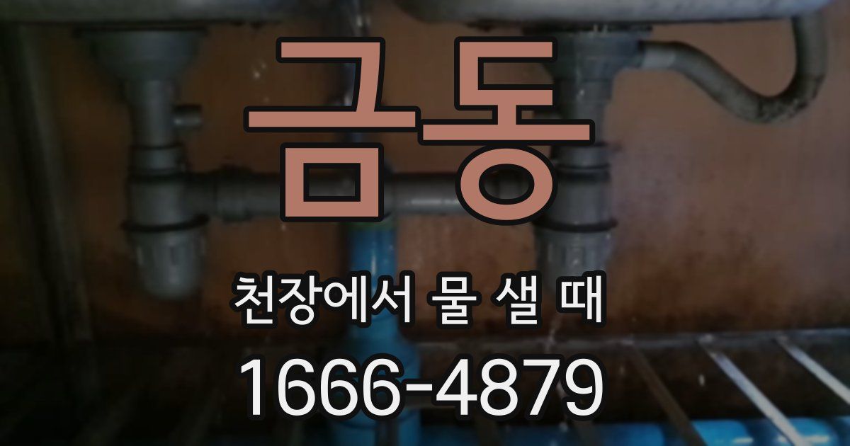 금동 천장에서 물 샐 때