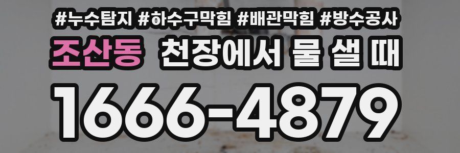 조산동 천장에서 물 샐 때