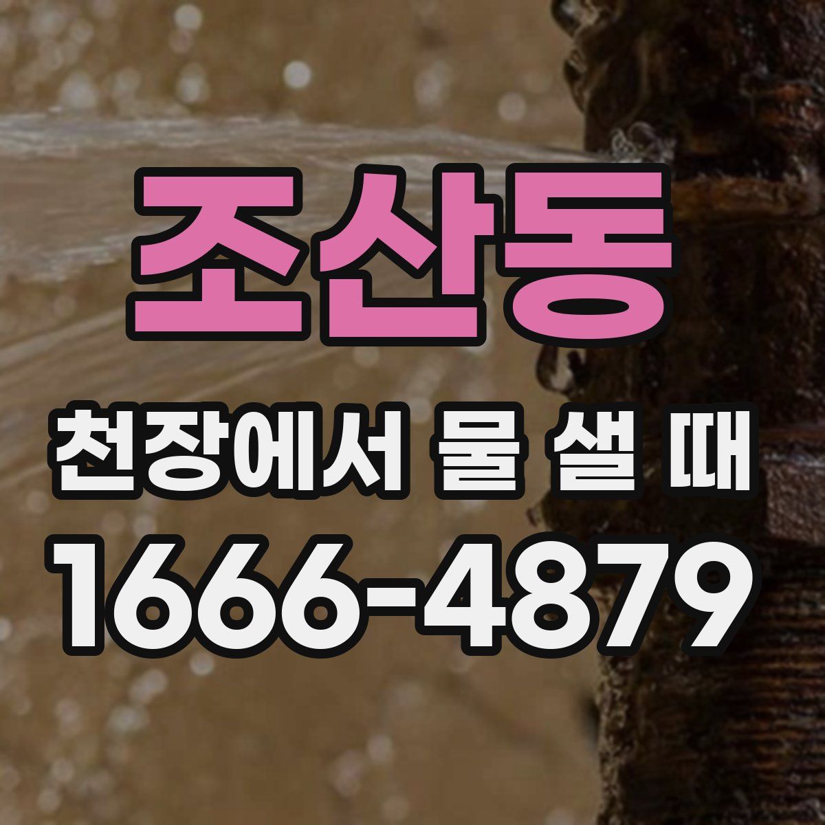 조산동 천장에서 물 샐 때