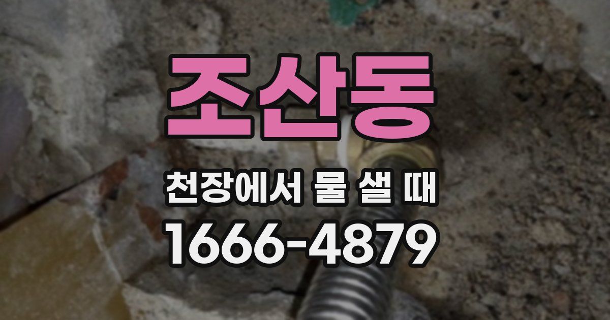 조산동 천장에서 물 샐 때