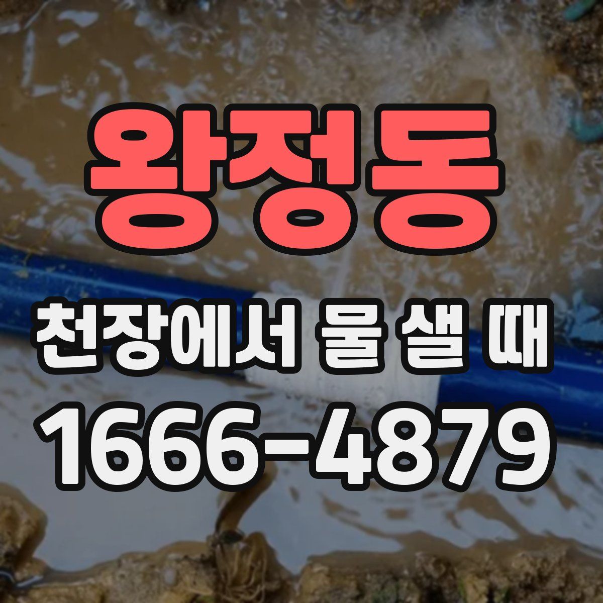 왕정동 천장에서 물 샐 때