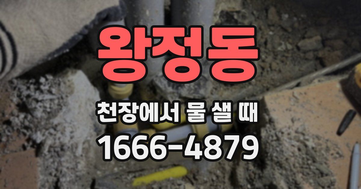 왕정동 천장에서 물 샐 때