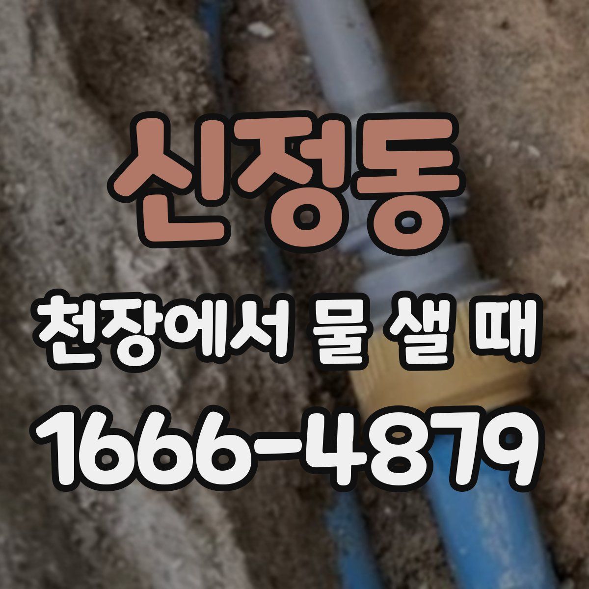 신정동 천장에서 물 샐 때