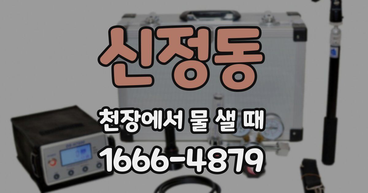 신정동 천장에서 물 샐 때