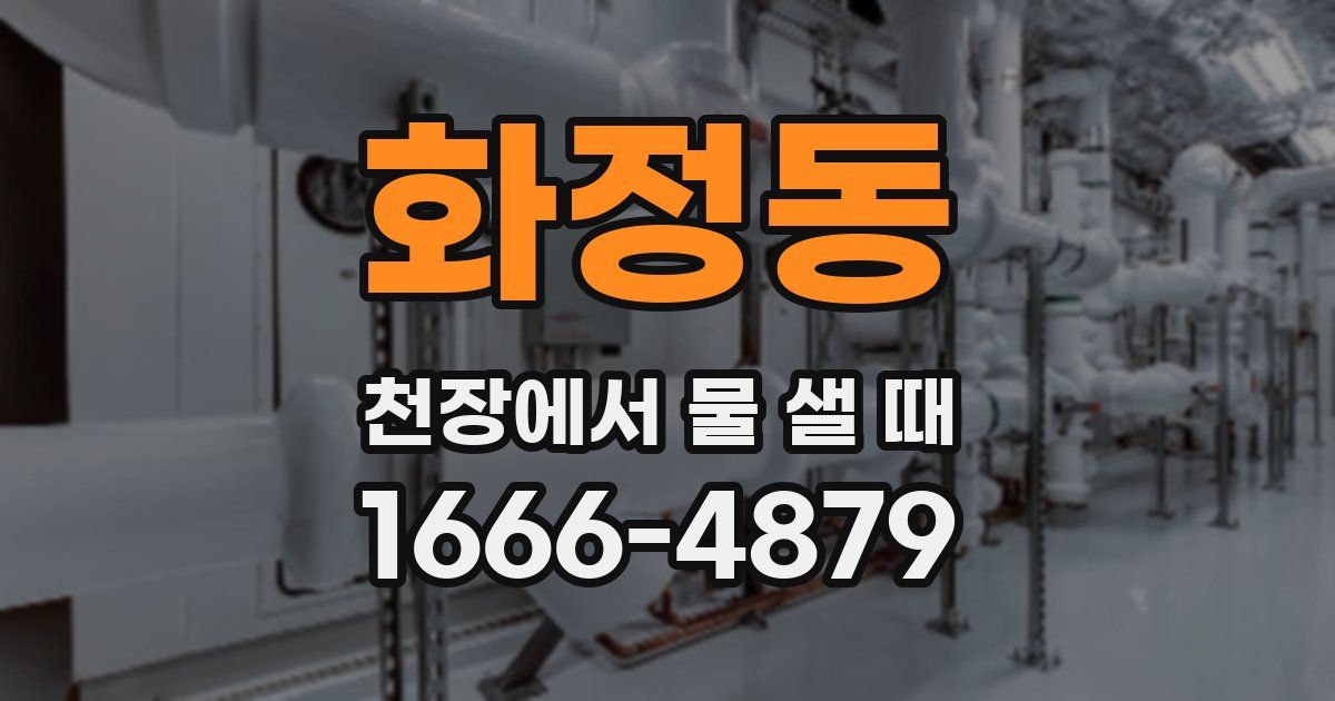 화정동 천장에서 물 샐 때