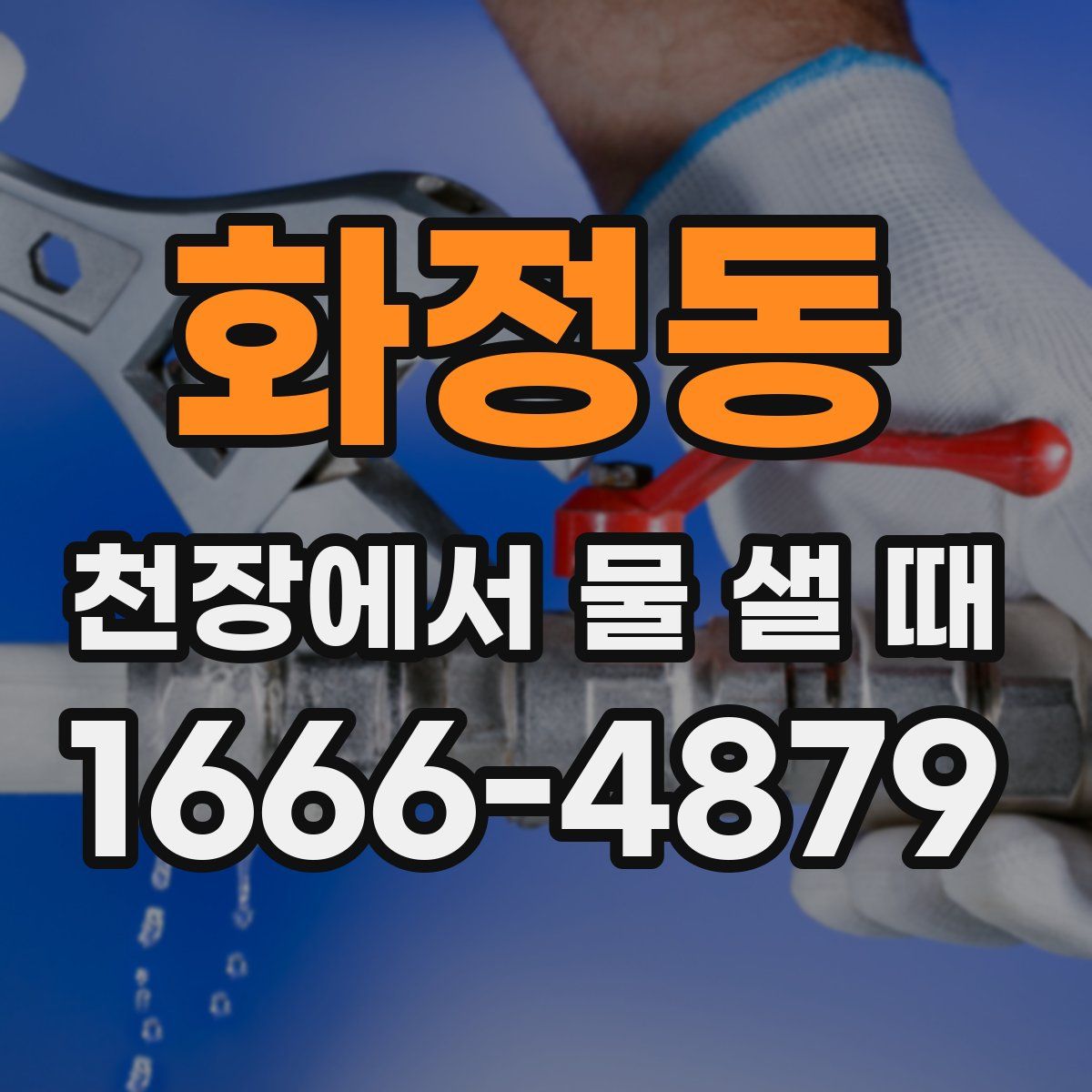 화정동 천장에서 물 샐 때