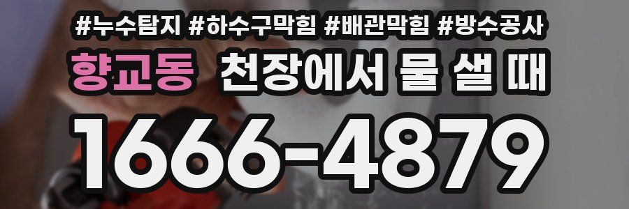 향교동 천장에서 물 샐 때