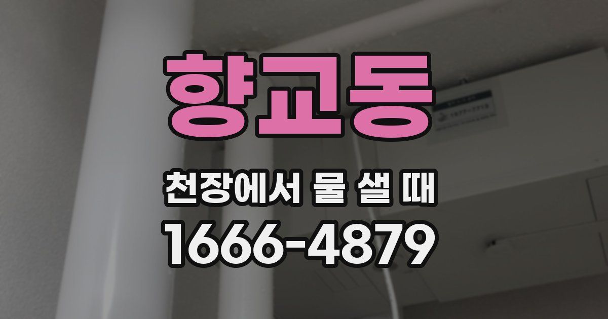 향교동 천장에서 물 샐 때
