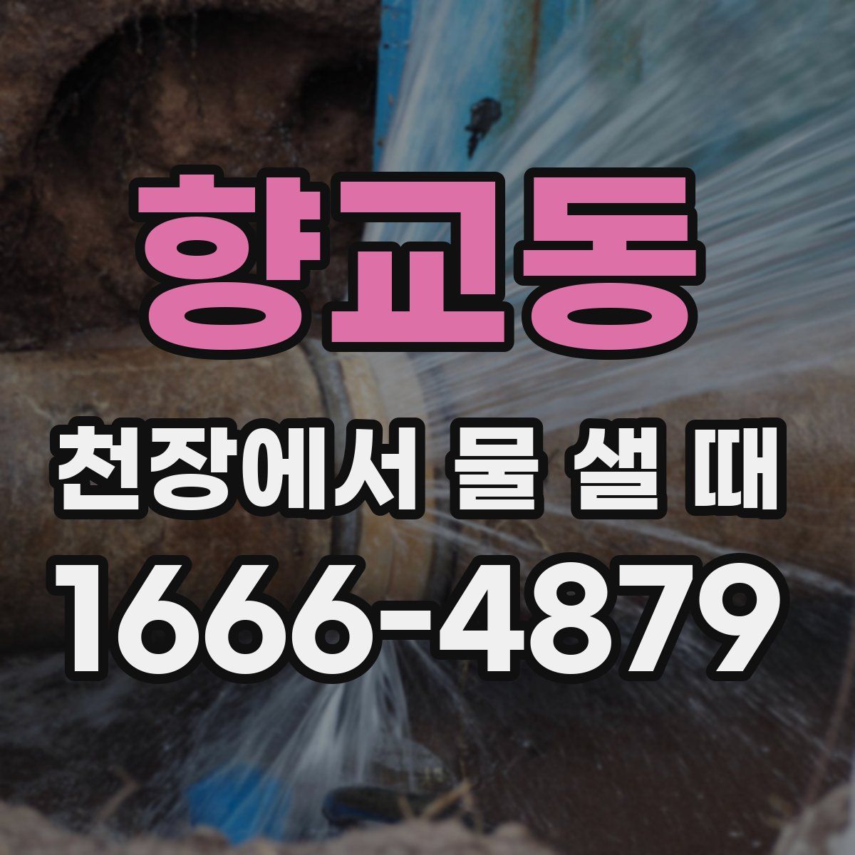 향교동 천장에서 물 샐 때
