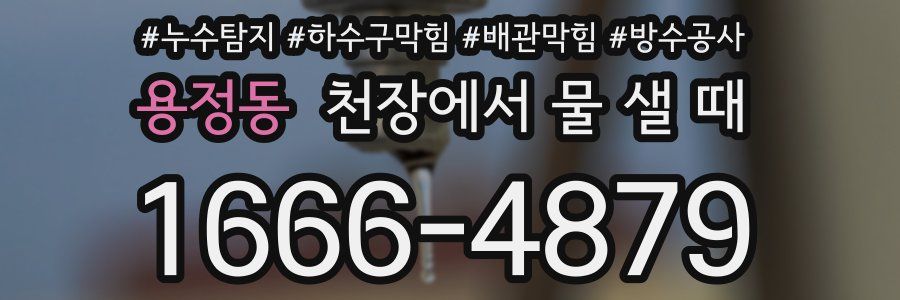 용정동 천장에서 물 샐 때