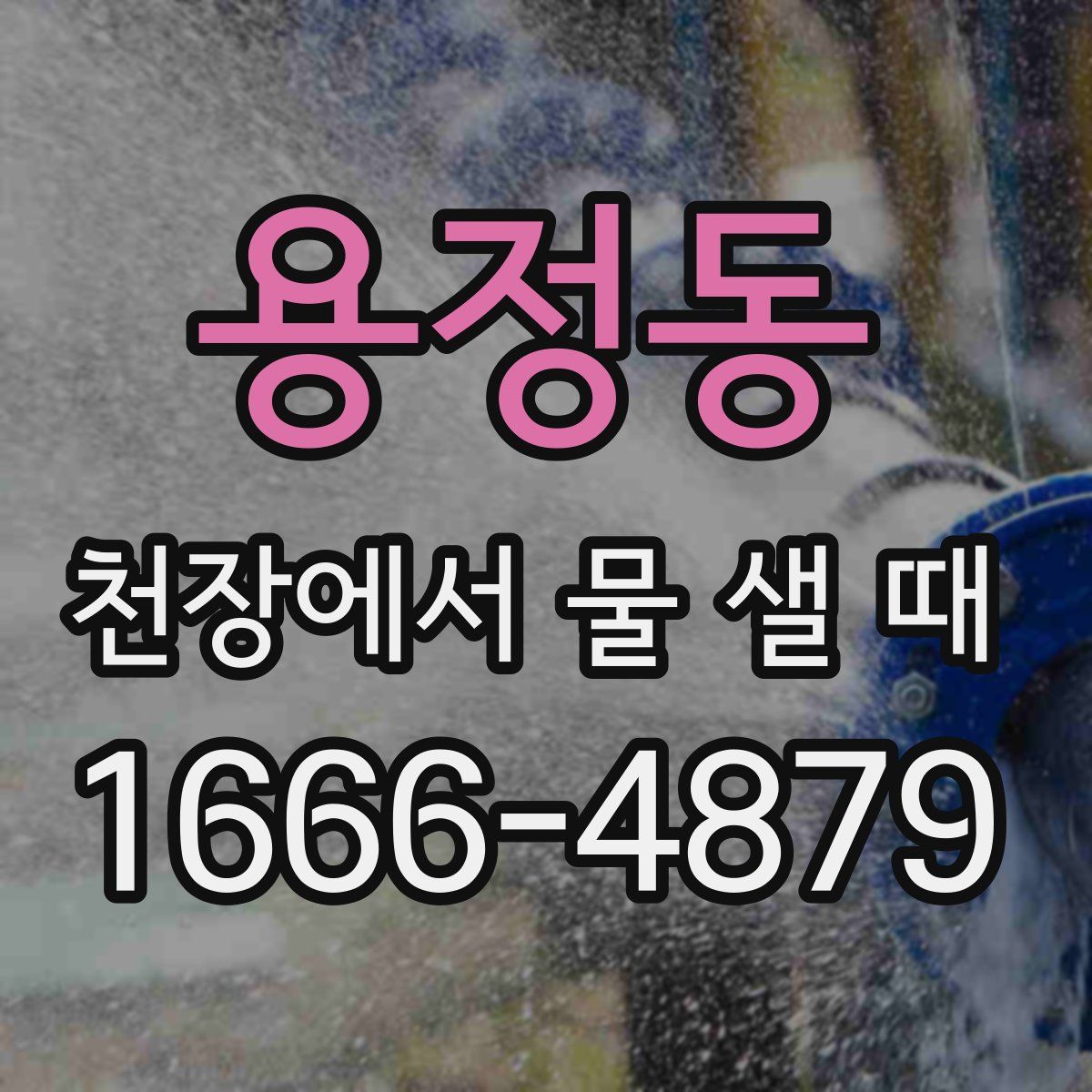 용정동 천장에서 물 샐 때