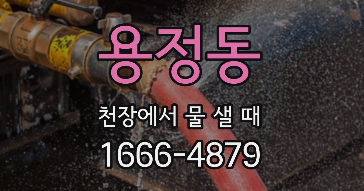 용정동 천장에서 물 샐 때