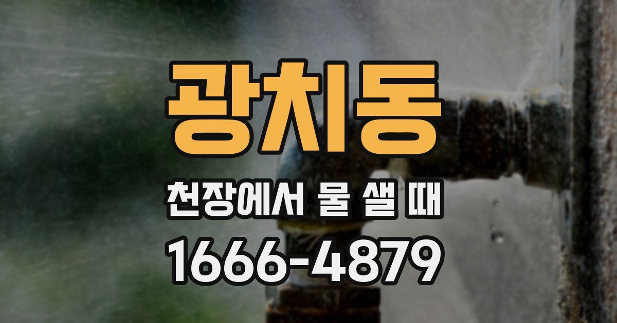 광치동 천장에서 물 샐 때