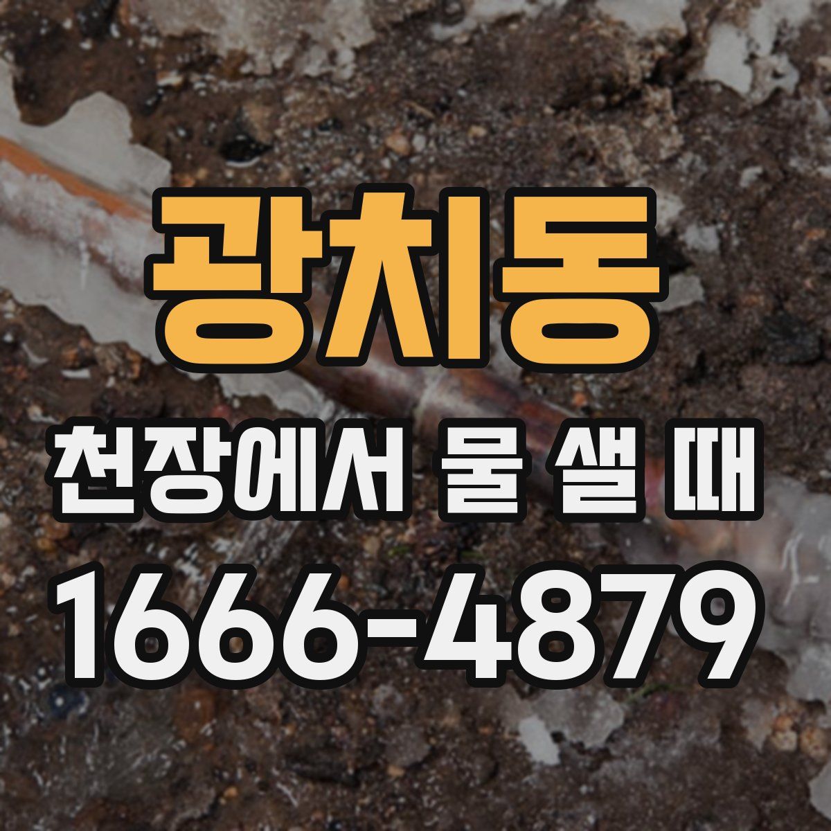 광치동 천장에서 물 샐 때