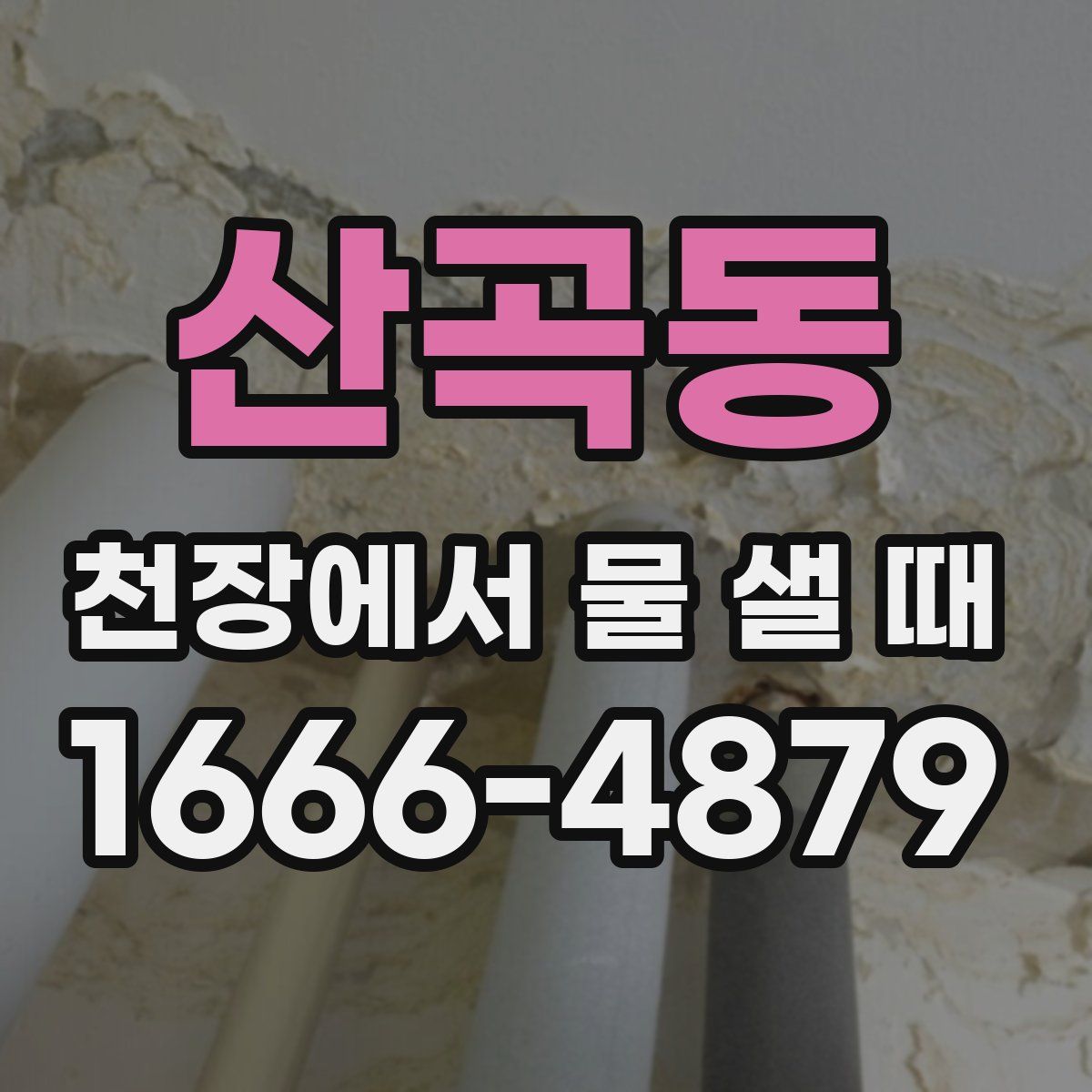 산곡동 천장에서 물 샐 때