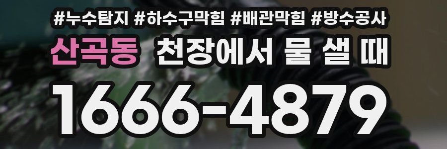 산곡동 천장에서 물 샐 때