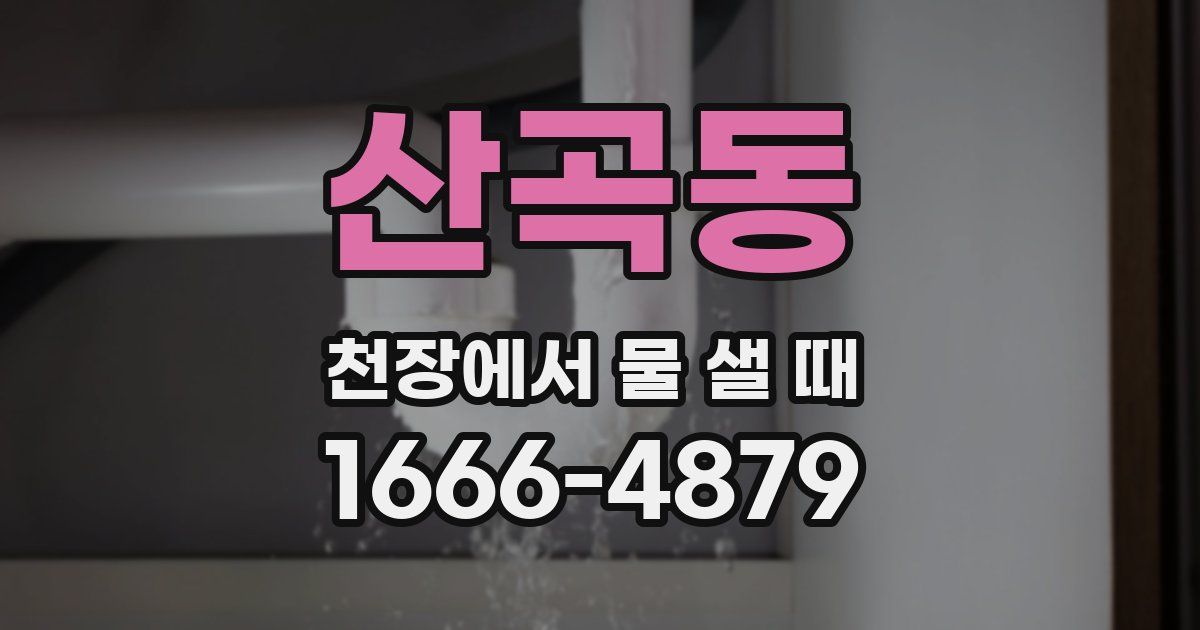 산곡동 천장에서 물 샐 때