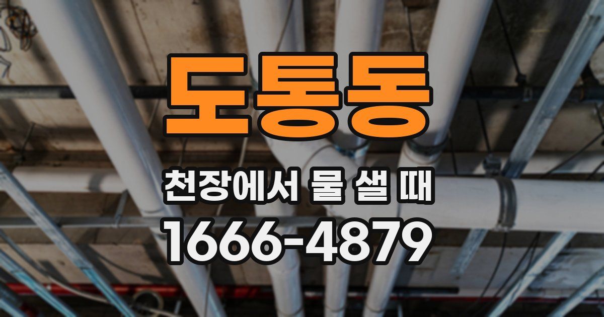 도통동 천장에서 물 샐 때