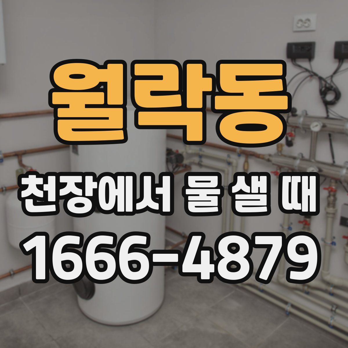 월락동 천장에서 물 샐 때