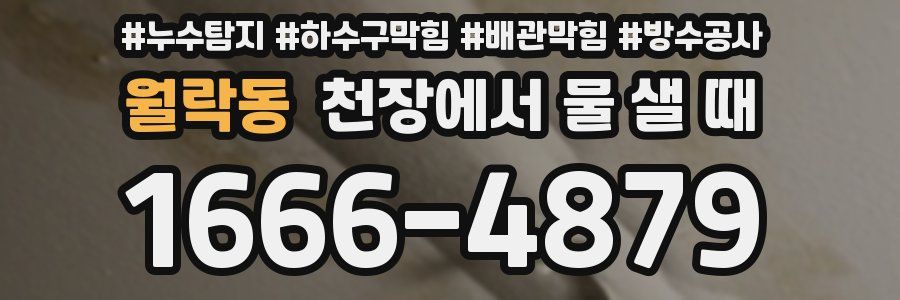 월락동 천장에서 물 샐 때