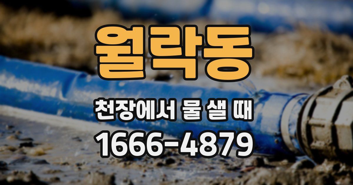 월락동 천장에서 물 샐 때