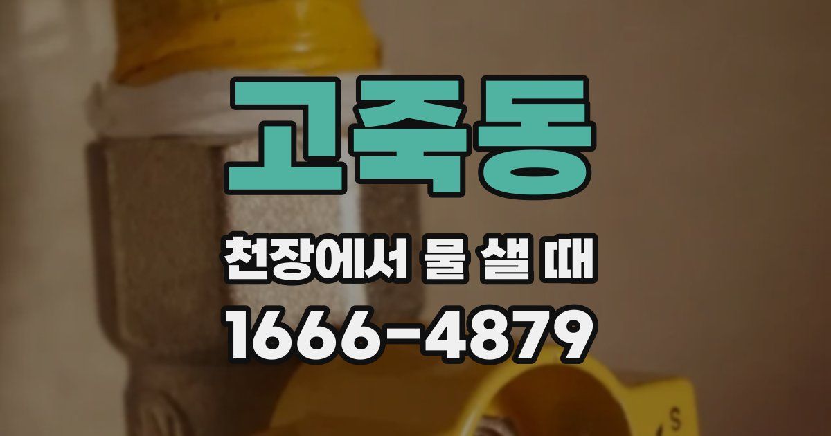 고죽동 천장에서 물 샐 때
