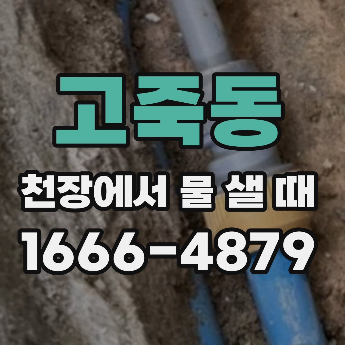 고죽동 천장에서 물 샐 때