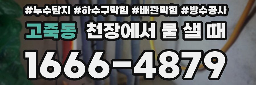 고죽동 천장에서 물 샐 때