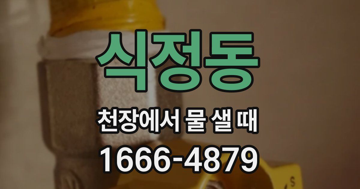 식정동 천장에서 물 샐 때