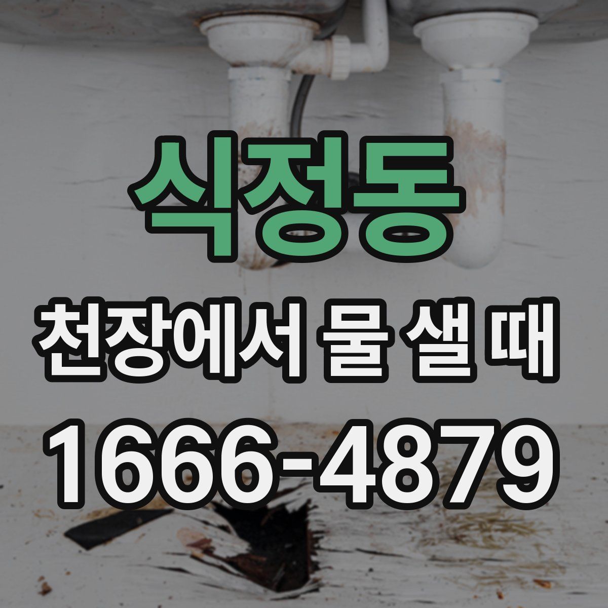 식정동 천장에서 물 샐 때